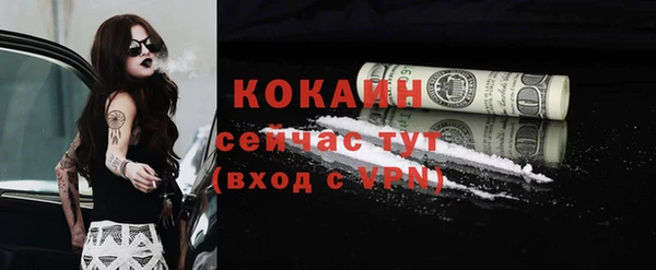 сатива Абаза
