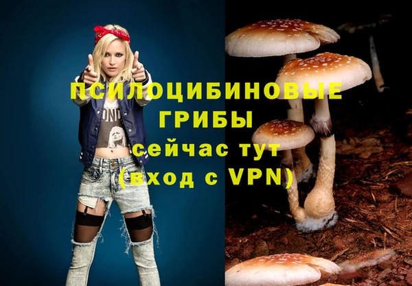 сатива Абаза