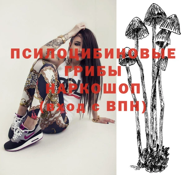 apvp Абинск